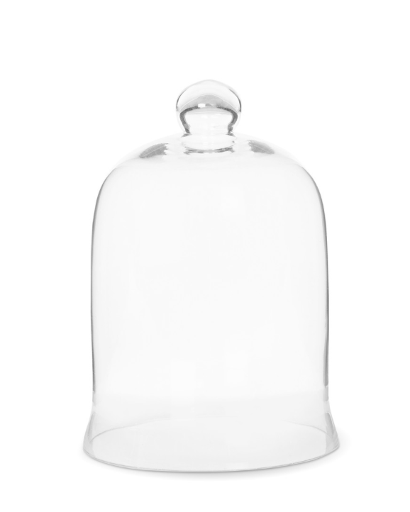 The Canton Christmas Shop Holiday Bell Jar Cloche Glass Small