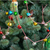 Trees, Wreaths & Garlands