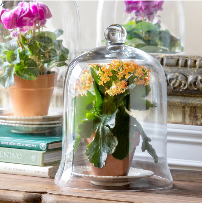 The Canton Christmas Shop Holiday Bell Jar Cloche Glass Medium Size