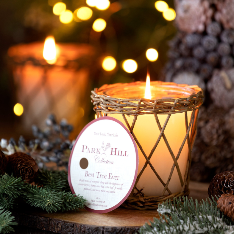 The Canton Christmas Shop Best Tree Ever Evergreen Tree Willow Candle by Park Hill Collection
