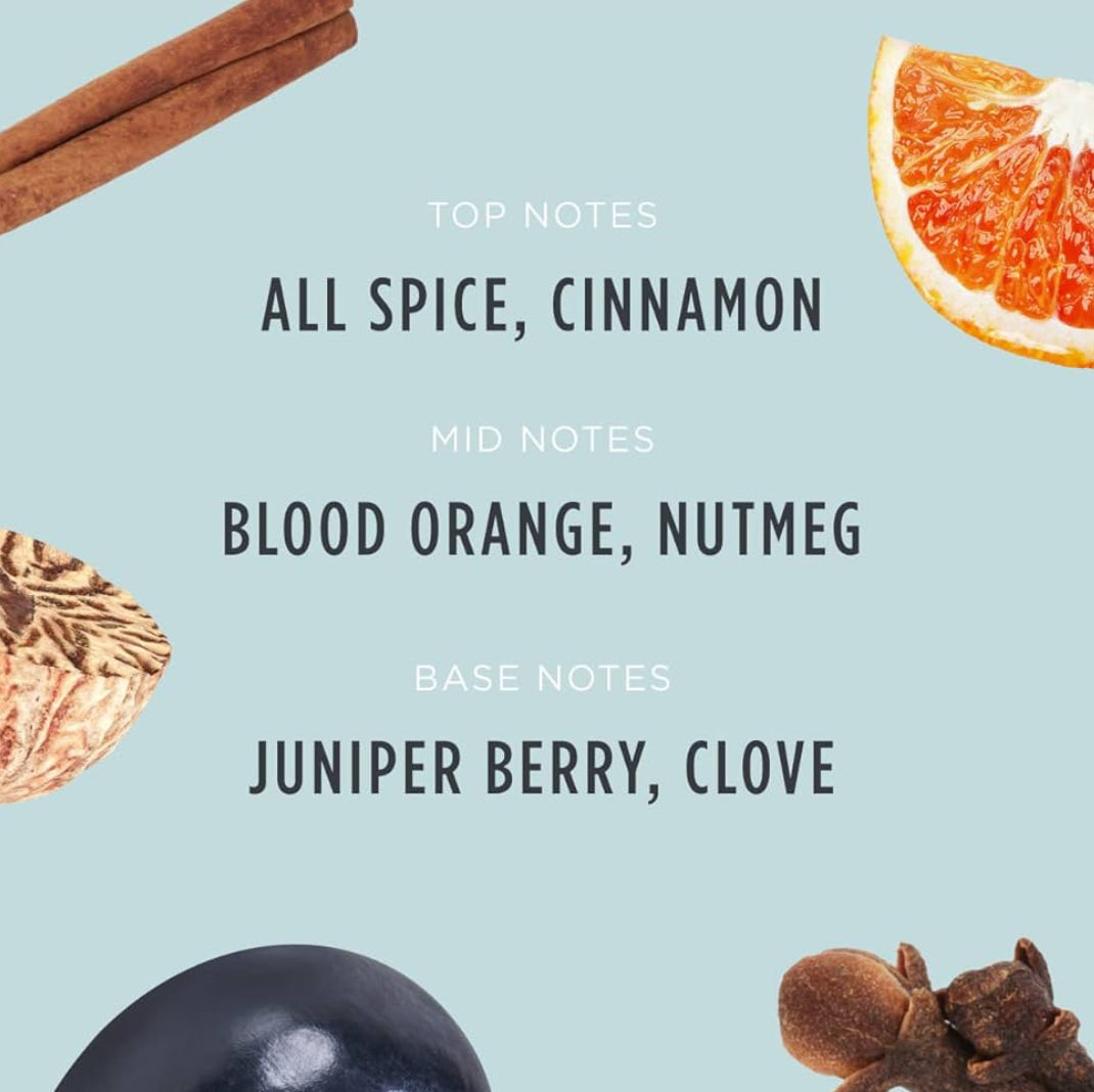 Santa's Naturals 9 oz. candle - Winter Berry