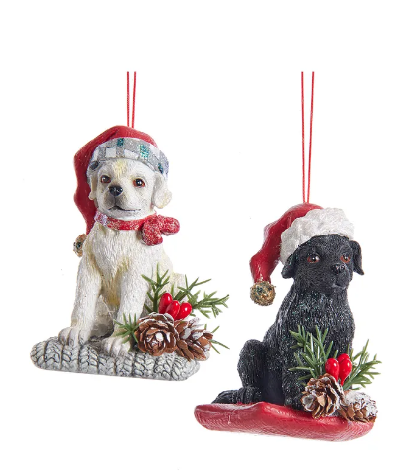 The Canton Christmas Shop Labrador Puppy with Santa hat Ornament Assorted by Kurt Adler